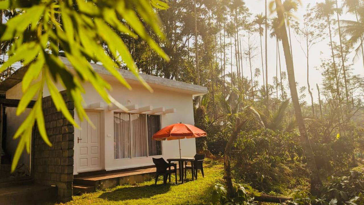Silver Oak By Exuberance Stays Wayanad Esterno foto