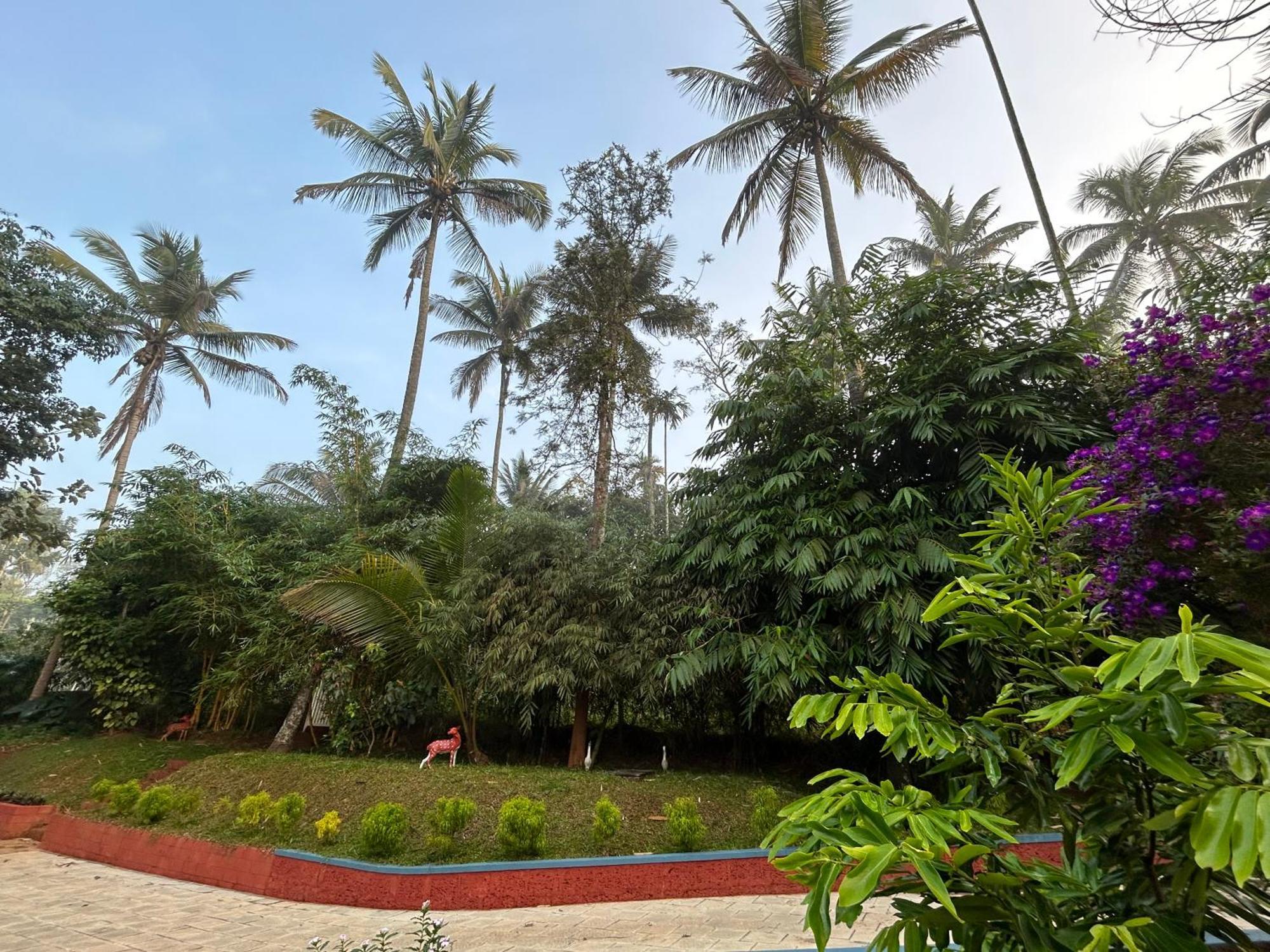 Silver Oak By Exuberance Stays Wayanad Esterno foto